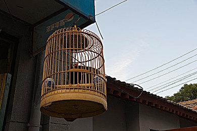 英国新一周实体销量榜 《地平线 西之绝境》三连冠